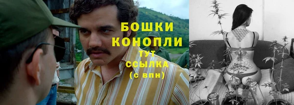 ГАЛЛЮЦИНОГЕННЫЕ ГРИБЫ Богданович