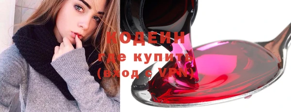 ГАЛЛЮЦИНОГЕННЫЕ ГРИБЫ Богданович