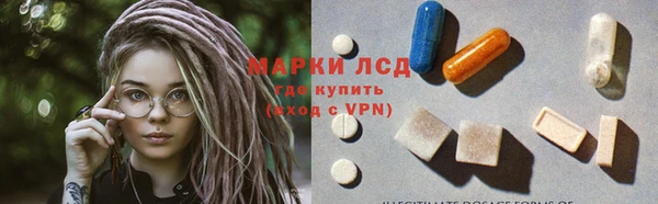 ГАЛЛЮЦИНОГЕННЫЕ ГРИБЫ Богданович
