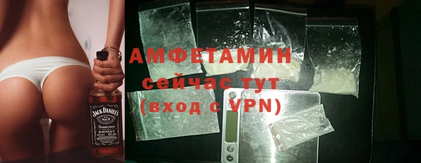 ГАЛЛЮЦИНОГЕННЫЕ ГРИБЫ Богданович