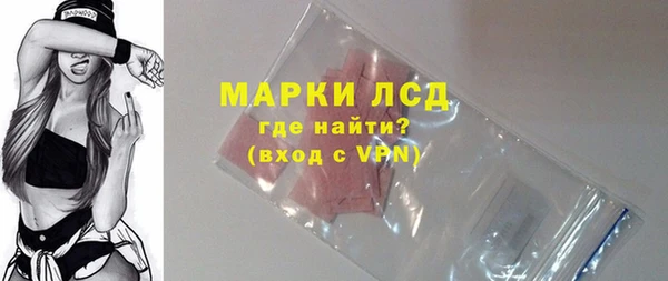 ГАЛЛЮЦИНОГЕННЫЕ ГРИБЫ Богданович