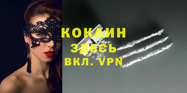 ГАЛЛЮЦИНОГЕННЫЕ ГРИБЫ Богданович