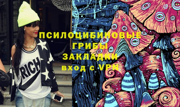прущий лед Богородицк