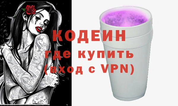 ГАЛЛЮЦИНОГЕННЫЕ ГРИБЫ Богданович