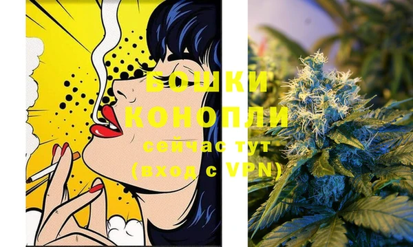 ГАЛЛЮЦИНОГЕННЫЕ ГРИБЫ Богданович
