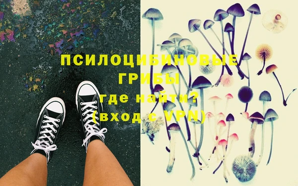 синтетический гашиш Богородск