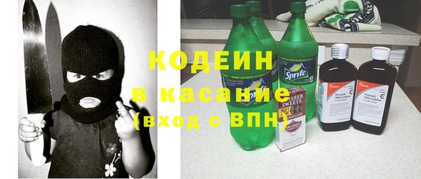 ГАЛЛЮЦИНОГЕННЫЕ ГРИБЫ Богданович